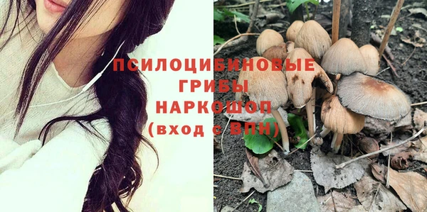стафф Краснотурьинск