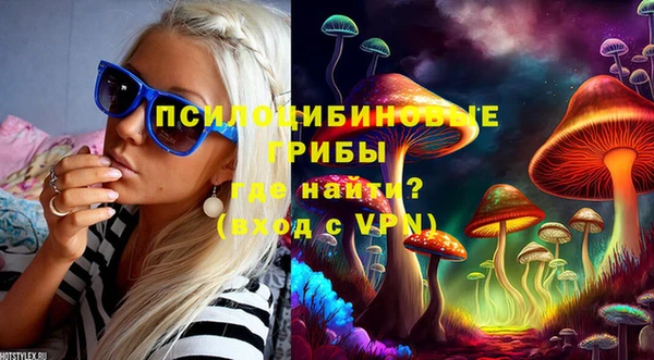 spice Краснослободск