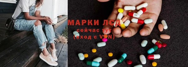 стафф Краснотурьинск