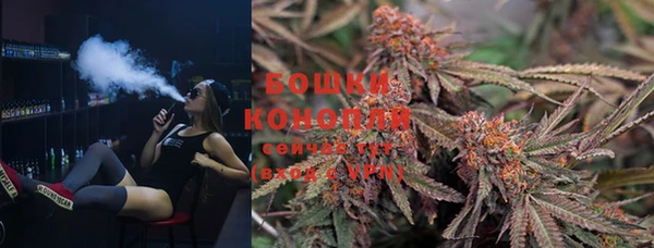 spice Краснослободск