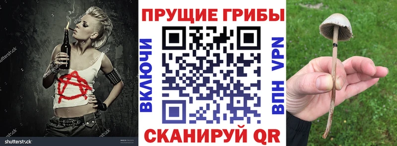 где найти наркотики  Терек  Галлюциногенные грибы ЛСД 